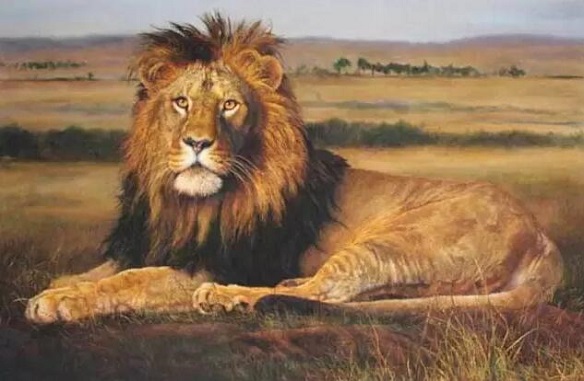 ŶΪйΨһԱ85ൺʢ