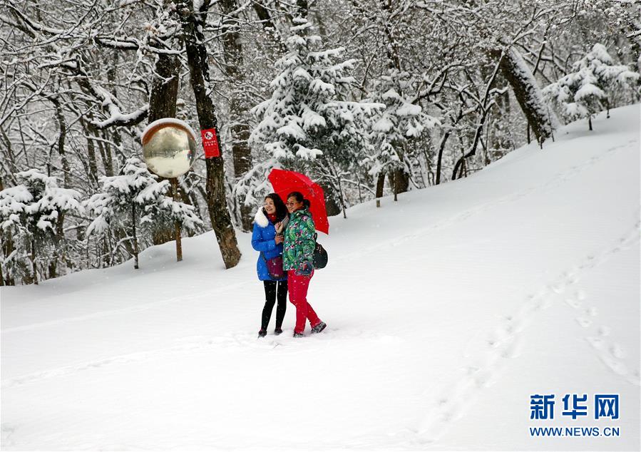 #(环境)(1)多地迎来降雪