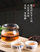  ٴǮ輴ڳ